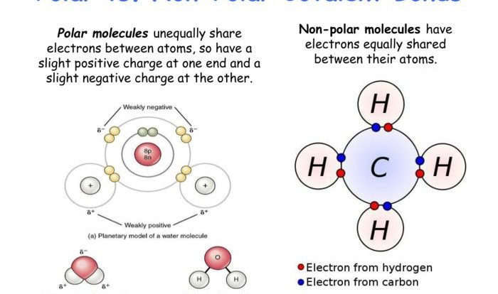 Nonpolar polar molecule classify each reset transcribed text show answers