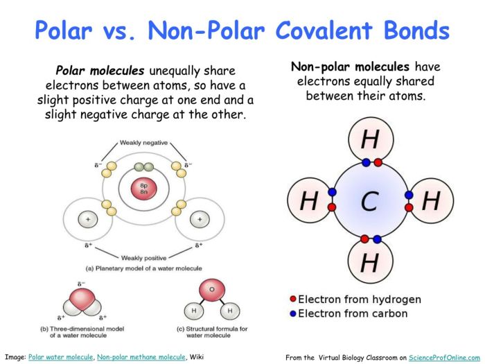 Nonpolar polar molecule classify each reset transcribed text show answers