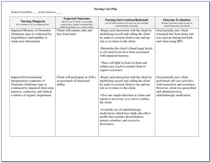 Nursing care plan for ect