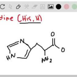 Draw the predominant form of histidine at ph 0