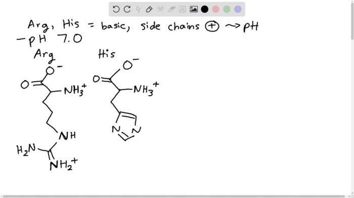 Isoleucine predominant transcribed