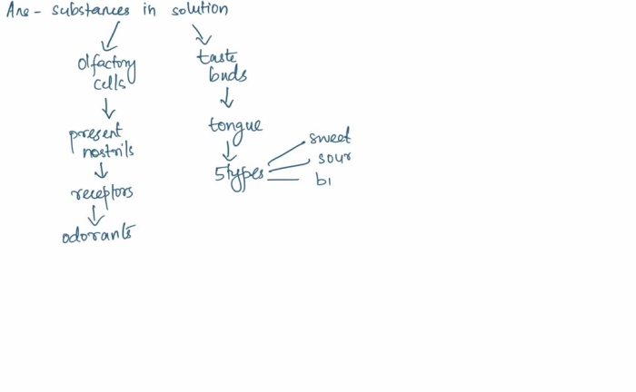 Olfactory cells and taste buds are normally stimulated by